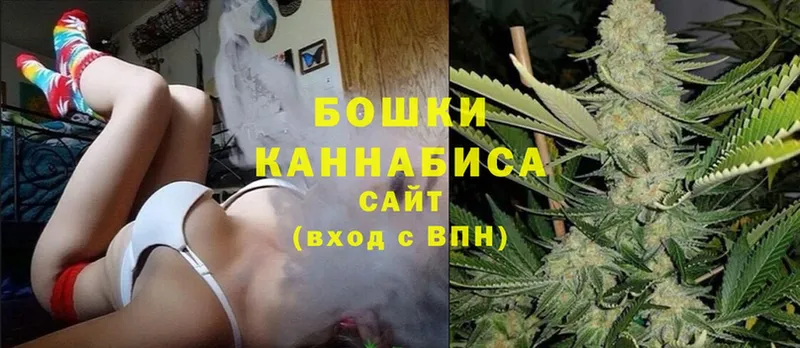 Бошки марихуана OG Kush  что такое   Никольск 